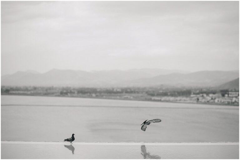 © Www.christosmavraganis.gr